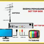Viral di Pasaran! Deretan Antena Wifi Set Top Box Beserta Harga