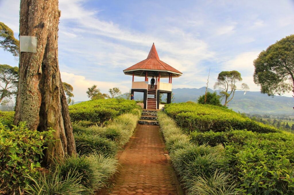 malabar pangalengan/infobdg