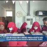 Ada 498 Kasus DBD Di Brebes Hingga Agustus 2023