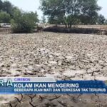 Kolam Ikan Mengering