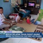 Bocah Delapan Tahun Digigit Anjing