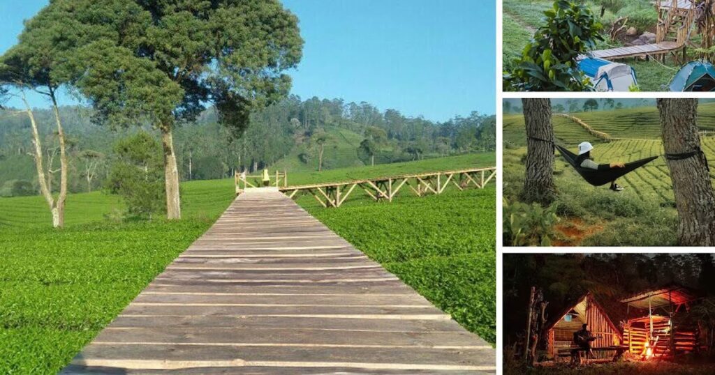 kebun teh pangalengan - nuansa riung gunung