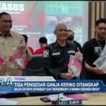 Tiga Pengedar Ganja Kering Ditangkap