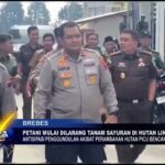 Petani Mulai Dilarang Tanam Sayuran Di Hutan Lindung