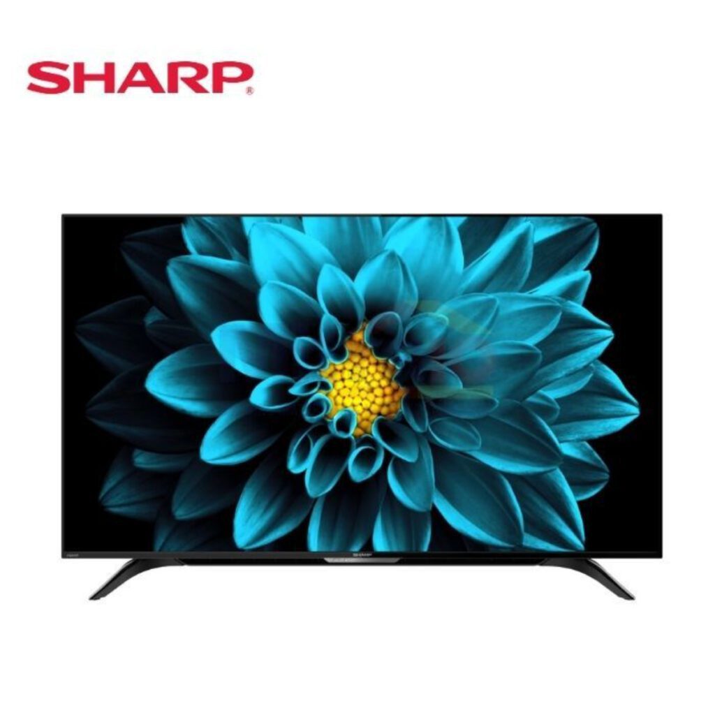 Gak Pakai STB, Anti Ribet dan Gak Bikin Pusing! Gini Loh Cara Setting TV Digital Sharp