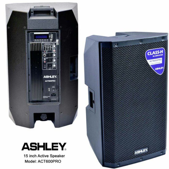 Speaker Aktif Ashley 15 Inch/Lazada