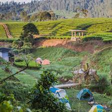 Eksplorasi Keindahan Riung Gunung, Pangalengan Pesona Alam yang Menyegarkan