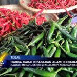 Harga Cabai Dipasaran Alami Kenaikan