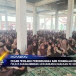 Cegah Perilaku Perundungan Dan Kenakalan Remaja