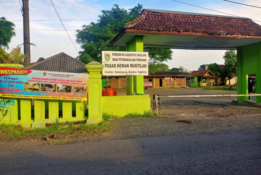 Pasar Hewan Muntilan, Tempat Berbelanja Hewan yang Menarik di Jawa Tengah