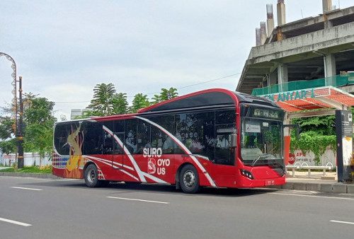 Wih, Bakal Ada Bus Gratis Bagi Penonton Piala Dunia U17 di Surabaya, Catat Titik Lokasi Penjemputan dan Waktu Operasionalnya