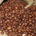 Kopi Arabika/Jurnal Bumi