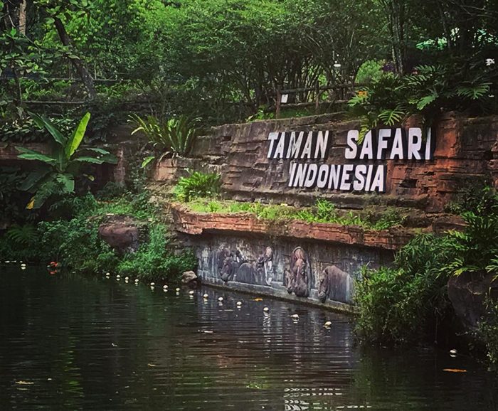 Weekend Mau Kemana? Ke Taman Safari Bogor Aja, Banyak Paket Wisata Menarik dan Pemandangannya Juga Asyik