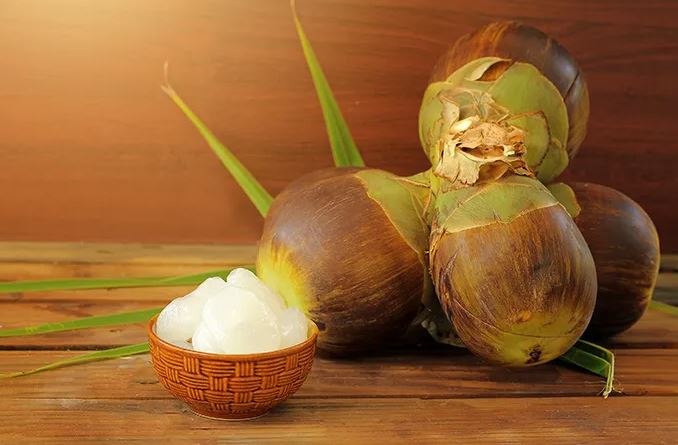 Mirip Kelapa : Inilah Manfaat Buah Lontar Untuk Kesehatan