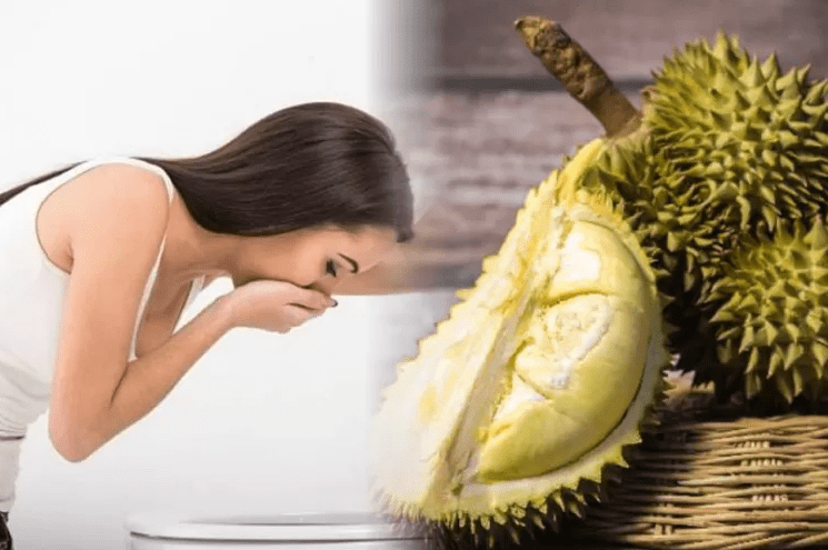 Ilustrasi mabuk durian. (ist)