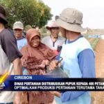 Dinas Pertanian Distribusikan Pupuk Kepada 400 Petani