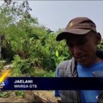 Tebing Sungai Kalilunyu Tergerus