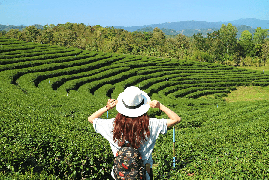 Yuk Buat Liburan Kamu Semakin Seru! Rekomendasi Tempat Wisata di Sumedang yang Patut di Kunjungi