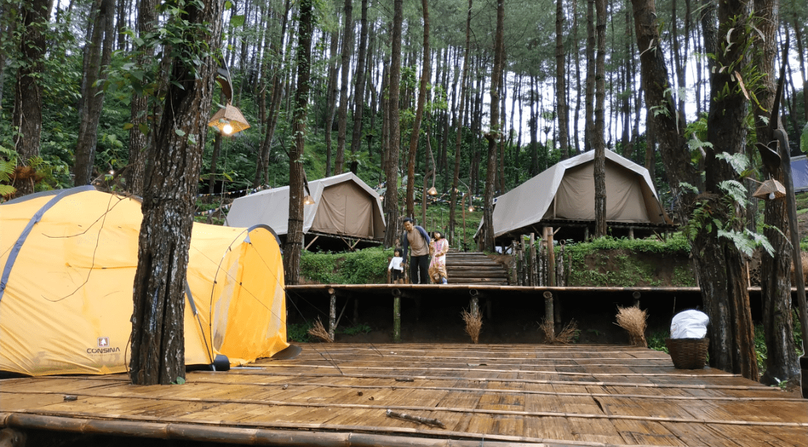 Menawarkan Pengalaman Menginap di Kawasan Hutan Pinus, DeLoano Glamping: Lokasi, Tarif Menginap, dan Aktivitas Seru