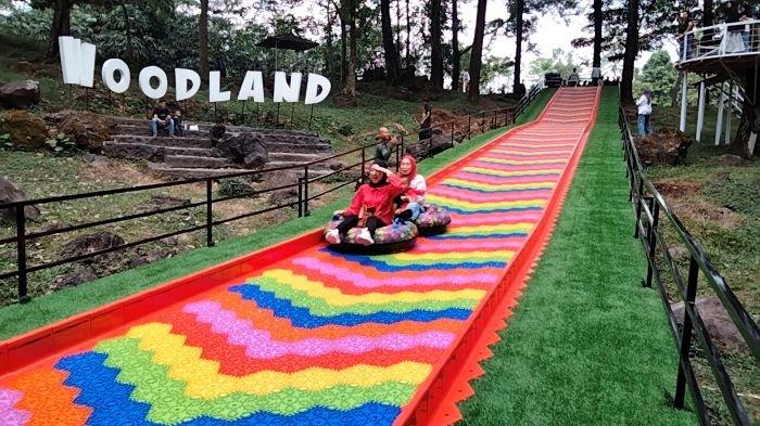 Eksplorasi Wisata Alam yang Menawan di Woodland Kuningan