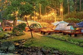 Glamping di Lampung Menikmati Kemewahan Alam Tengah Hutan