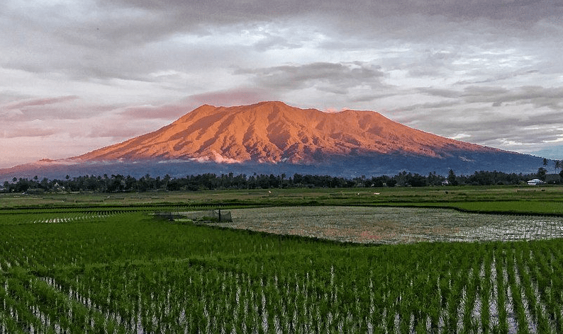 Gunung Ini Baru Saja Meletus: Simak Fakta Menarik Gunung Marapi yang Punya Pesona Indah, tapi Berbahaya