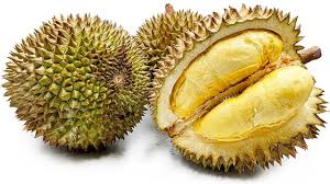 Kelezatan Durian Berbagai Macam Jenis Durian yang Menggoda Lidah