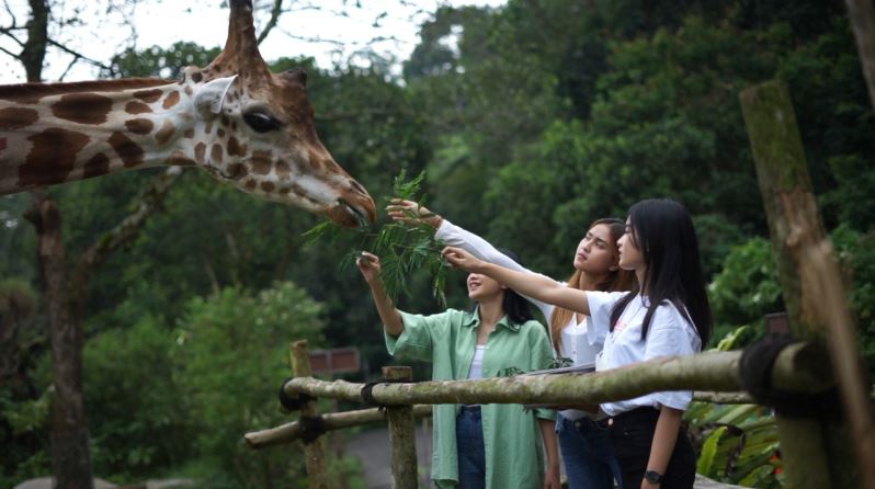 bogor.tamansafari.com