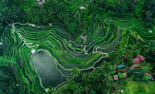 Kuy Liburan Ke Bali : Inilah Rekomendasi Wisata Alam di Bali Terbaik - Ajak Teman dan Keluargamu