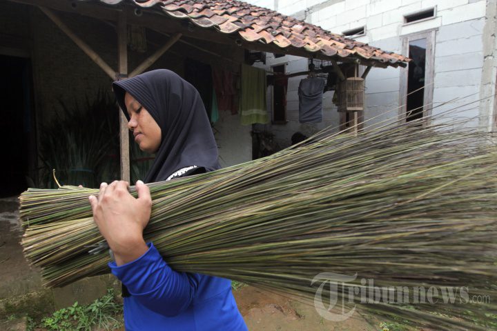 Manpaatkan daun pohon kelapa dengan cara membuat sapu lidi yang bisa anda jual ataupun di pakai sendiri !