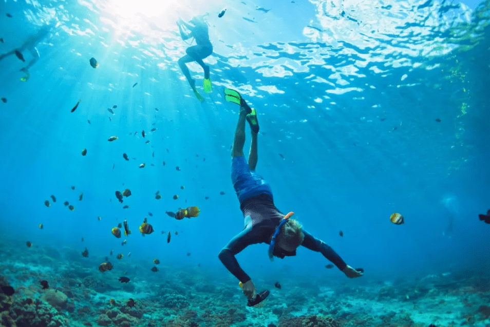Diving Menjadi Aktivitas yang Seru Selain Berselancar: Rekomendasi Lokasi Diving Terbaik di Bali, Biota Lautnya Bikin Gak Fokus!