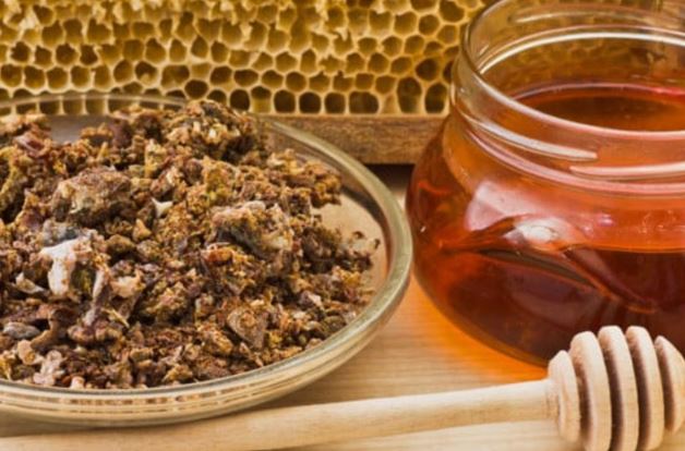 Apa Manfaat Propolis Untuk Kesehatan? Yuk Simak Selengkapnya Disini!