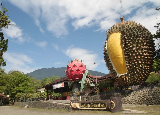 Rekomendasi Wisata Bogor Murah : Liburan Akhir Pekan Yang Menyenangkan