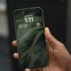 iPhone Models in 2025