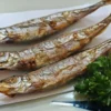 ikan cipung