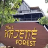 Kajene Forest