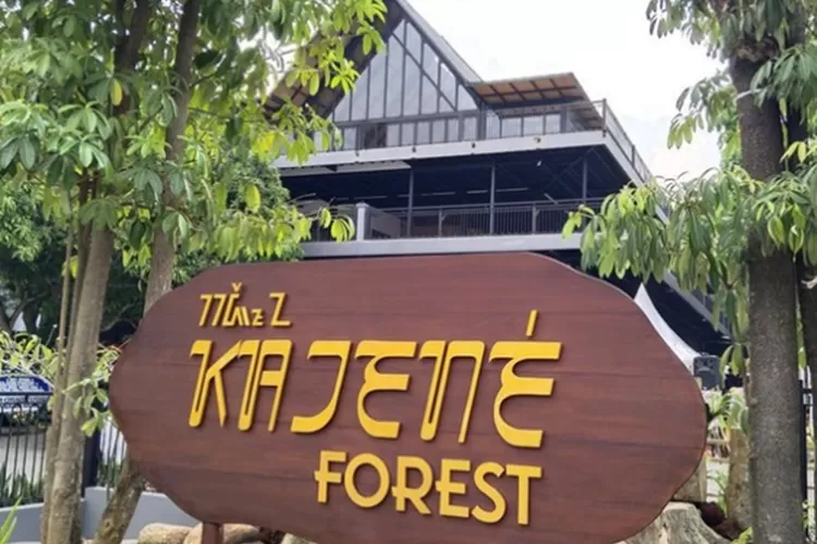 Kajene Forest