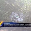 Sampah Berserakan Di Tepi Jalan Desa Megu Gede