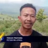 Teguh Pratama Petani Milenial Majalengka