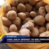 Cabai Jablay Meroket 100 Ribu Perkilogram