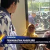 Peningkatan Kasus DBD