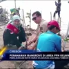 Penanaman Mangrove Di Area PPN Kejawanan