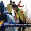 Area Mangrove Di PPN Kejawanan Ada Sekitar 2 Hektare