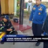 Leher Hewan Terjepit Lubang Pagar