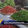 Harga Cabai Berangsur Turun