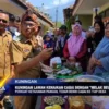 Kuningan Lawan Kenaikan Cabai Dengan \"Melak Beu\"