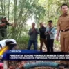 Pemerintah Dorong Peningkatan Masa Tanam Pertanian