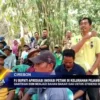 PJ Bupati Apresiasi Inovasi Petani Di Kelurahan Pejambon