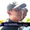 Lahan Pertanian Di 8 Kecamatan Rentan Alami Bencana Kekeringan