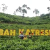 Lembah